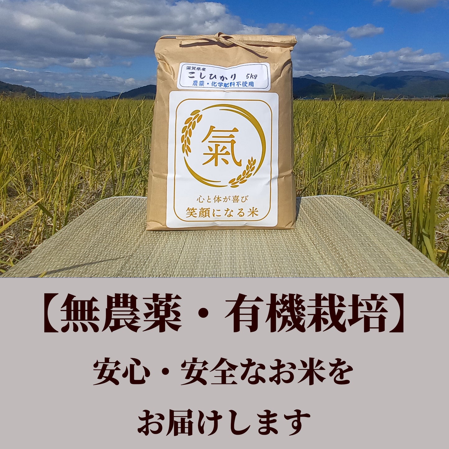 七神氣 こしひかり(有機栽培)※送料は別