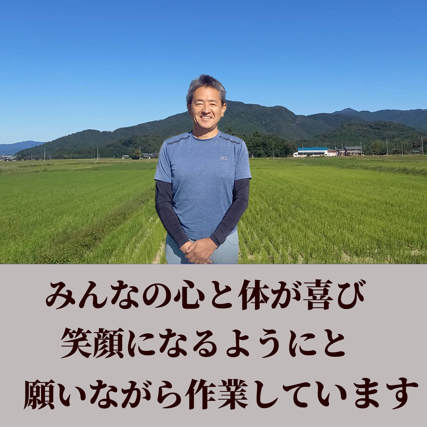 七神氣 こしひかり(れんげ農法)※送料は別