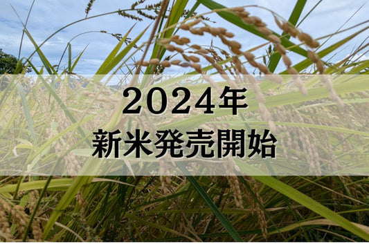 2024年新米発売のご案内